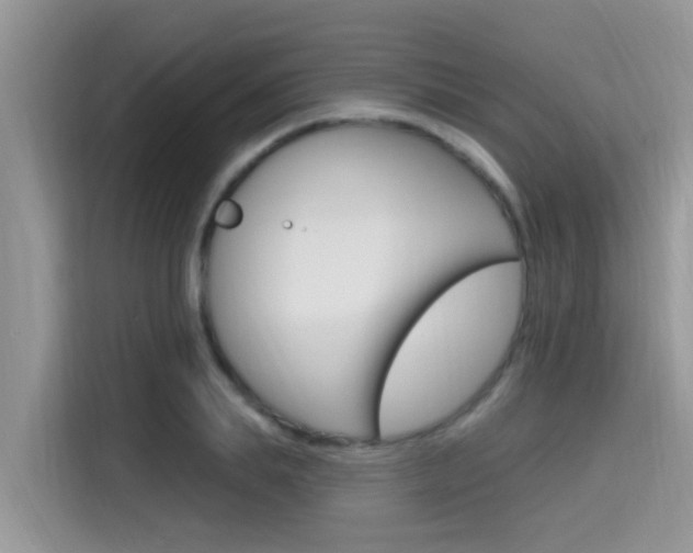 X0000115610839200911100930