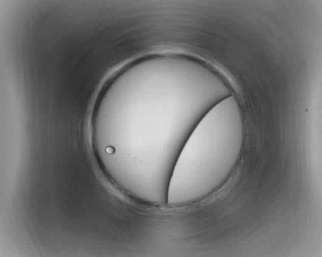 X0000115610840200911100930