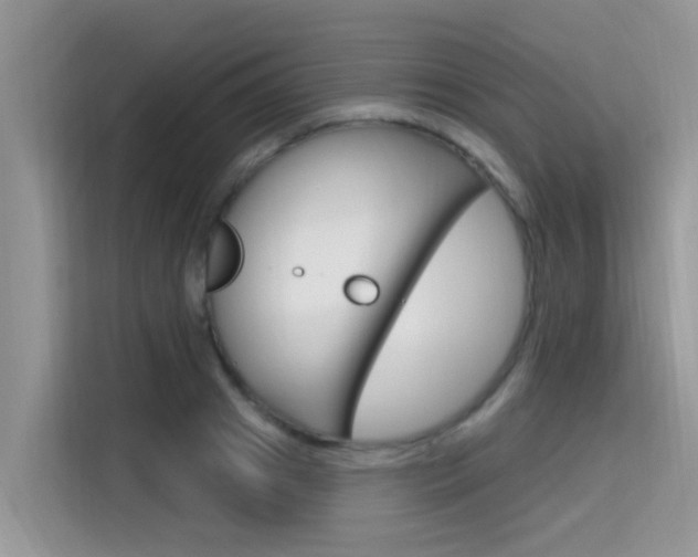 X0000115610841200911100930