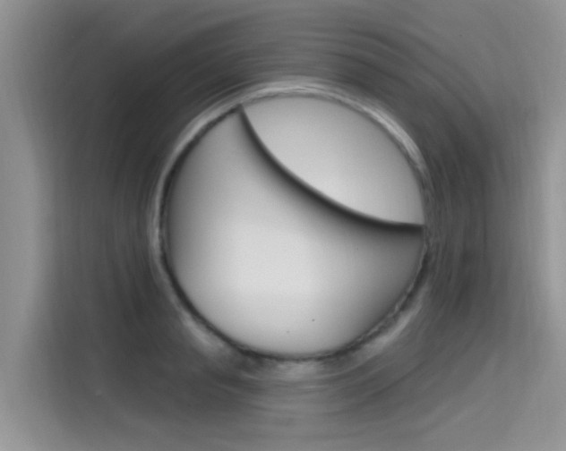 X0000115610845200911100930