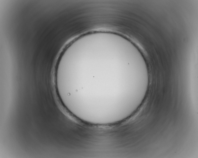 X0000115610848200911100930