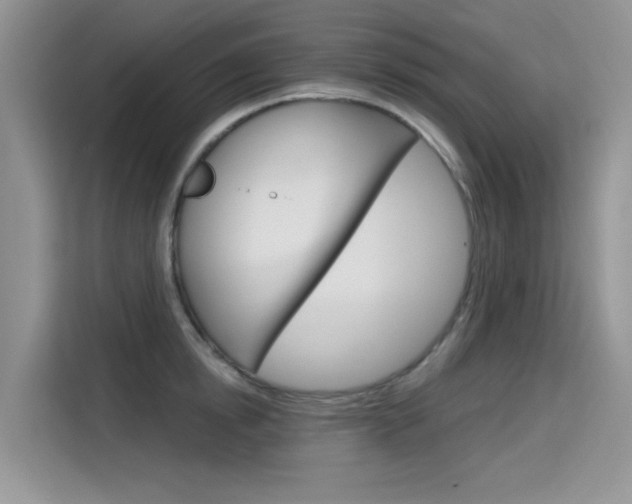 X0000115610854200911100930