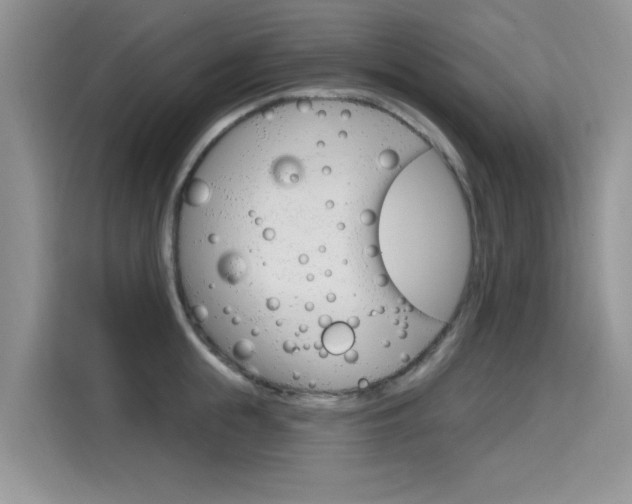 X0000115610855200911100930
