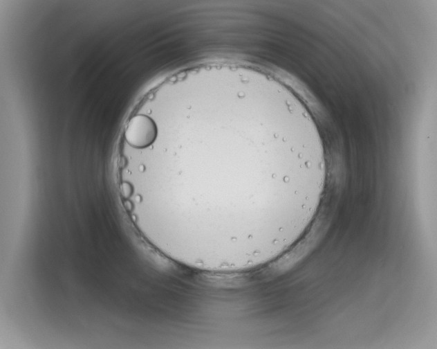 X0000115610856200911100930