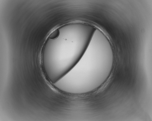 X0000115610858200911100930