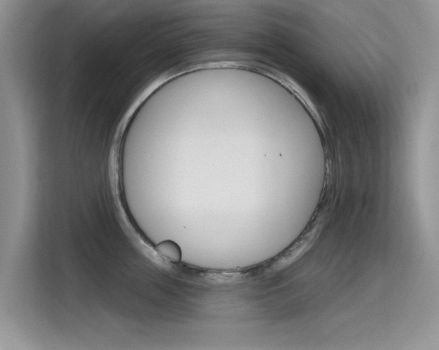 X0000115610859200911100930