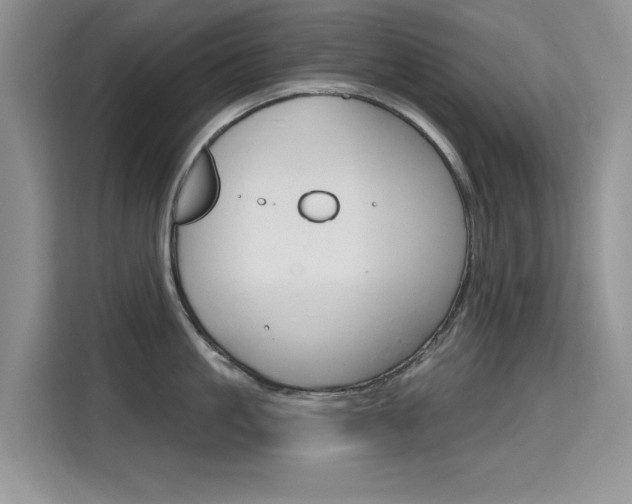 X0000115610861200911100930