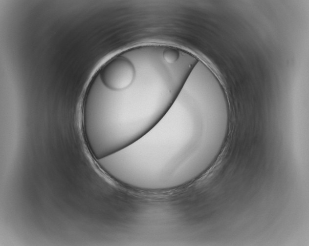 X0000115610862200911100930