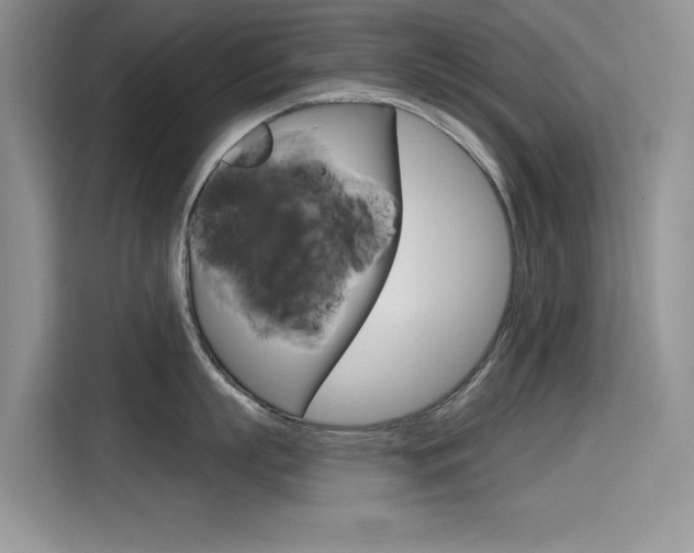X0000115610863200911100930