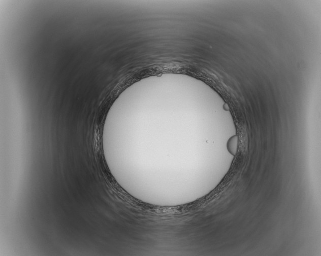 X0000115610866200911100930