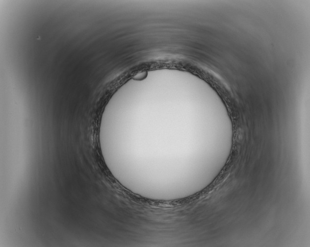 X0000115610869200911100930