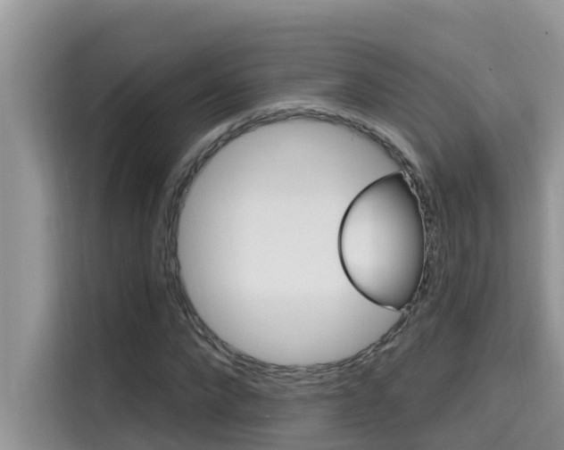 X0000115610872200911100930