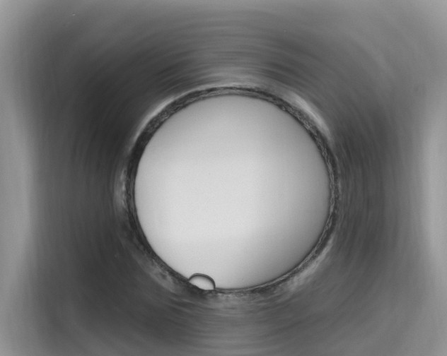 X0000115610875200911100929