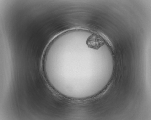 X0000115610876200911100929