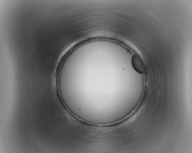 X0000115610877200911100929