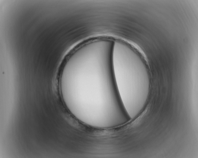 X0000115610879200911100929