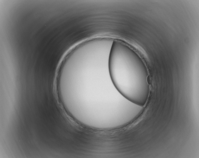 X0000115610880200911100929