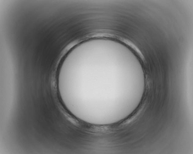 X0000115610882200911100929