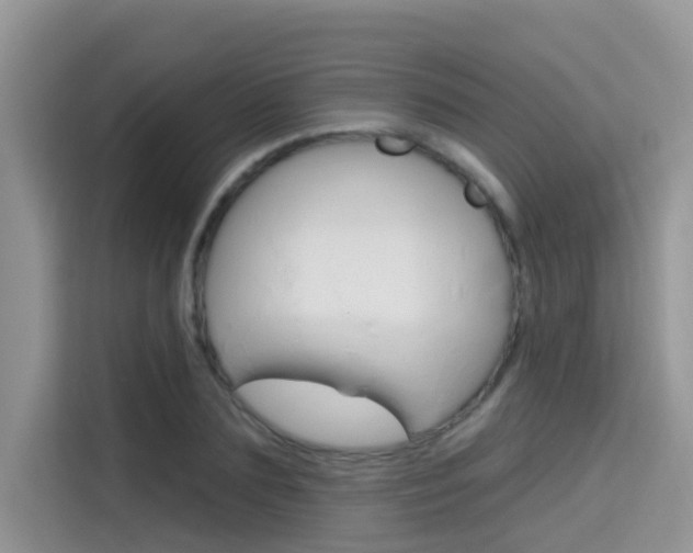 X0000115610883200911100929