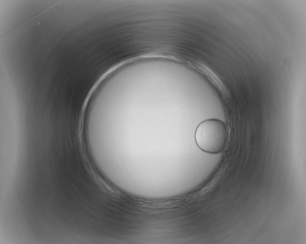 X0000115610884200911100929