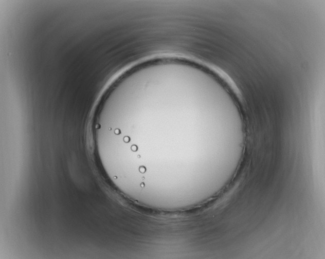 X0000115610887200911100929