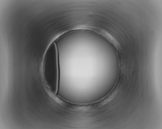 X0000115610892200911100929