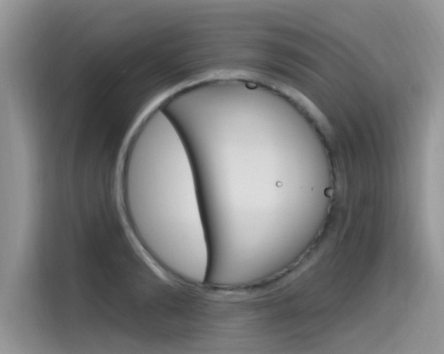 X0000115610894200911100929