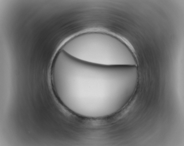 X0000115610895200911100929
