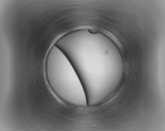 X0000115610898200911100929