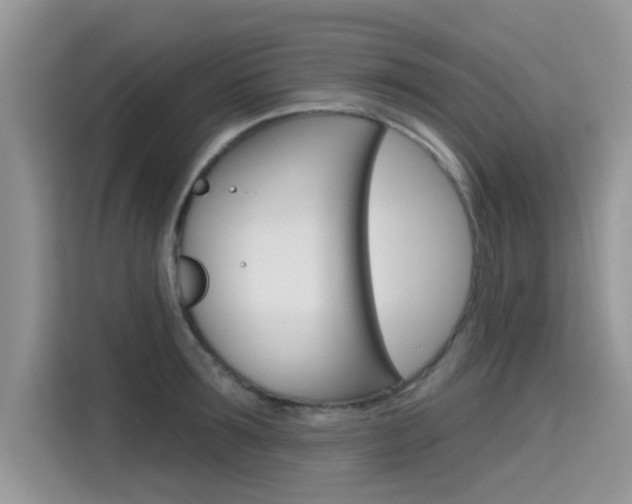 X0000115610899200911100929