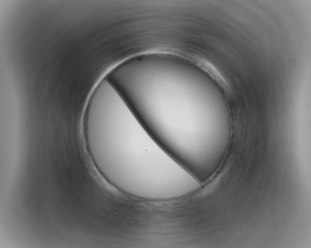 X0000115610900200911100929
