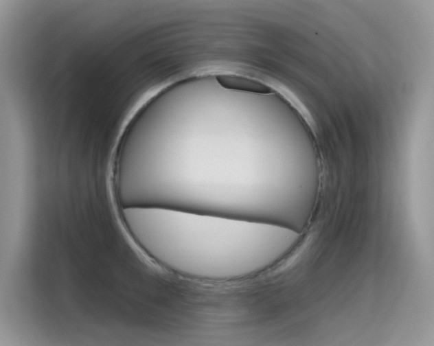 X0000115610901200911100929