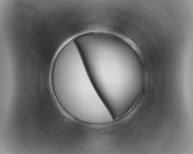 X0000115610904200911100929