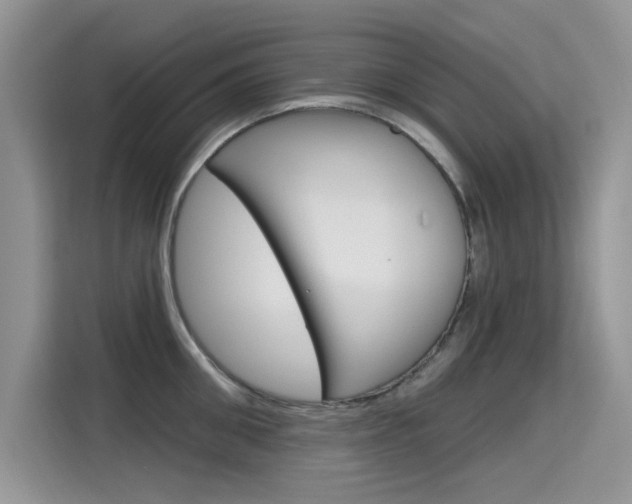 X0000115610906200911100929