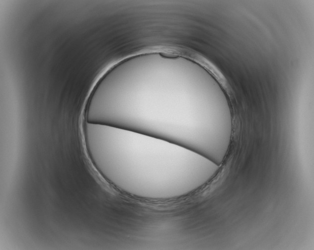 X0000115610907200911100929