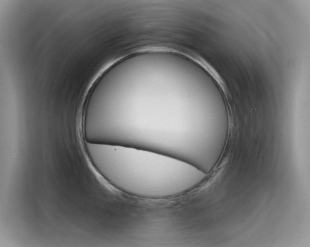 X0000115610909200911100929
