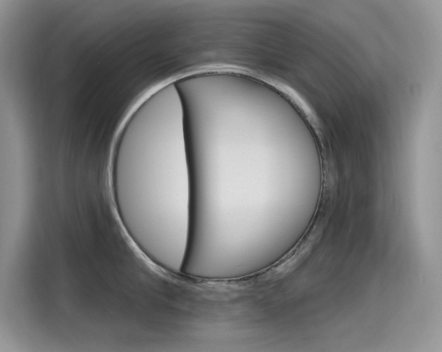 X0000115610910200911100929