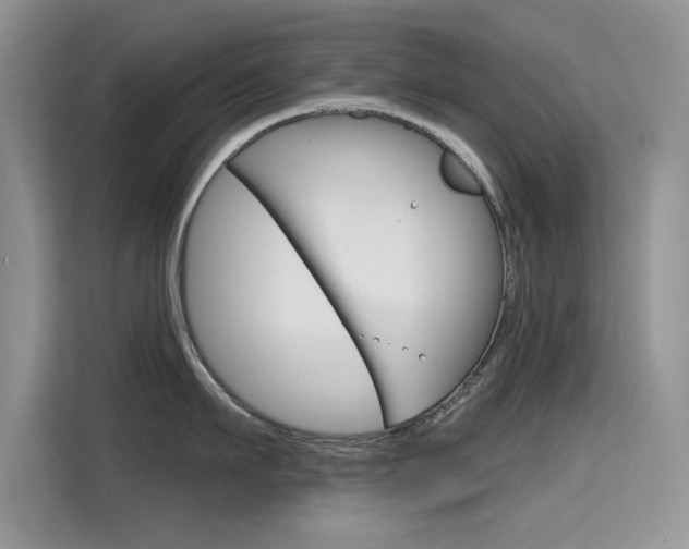 X0000115610911200911100929