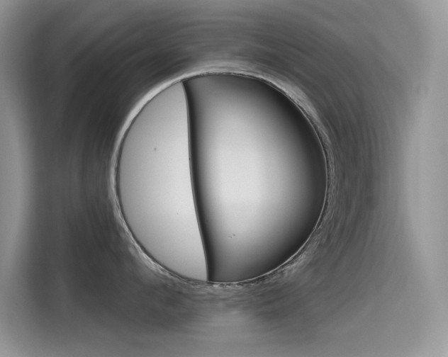 X0000115610912200911100929