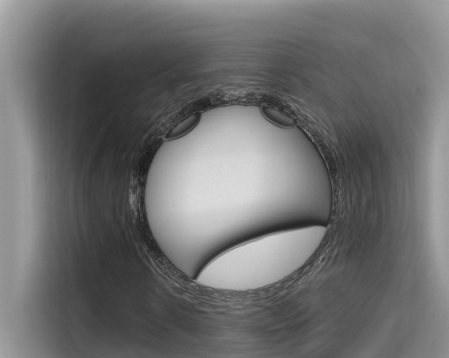 X0000115610914200911100928
