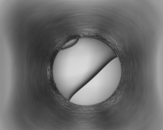 X0000115610915200911100928