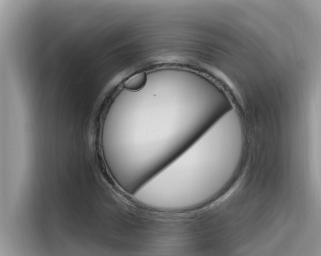 X0000115610922200911100928
