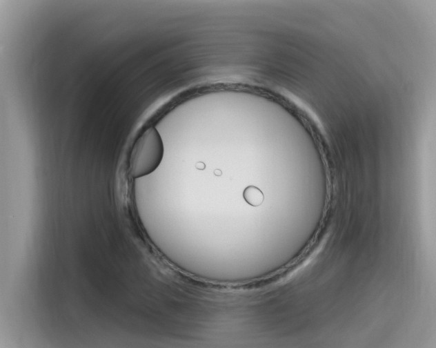 X0000115610925200911100929