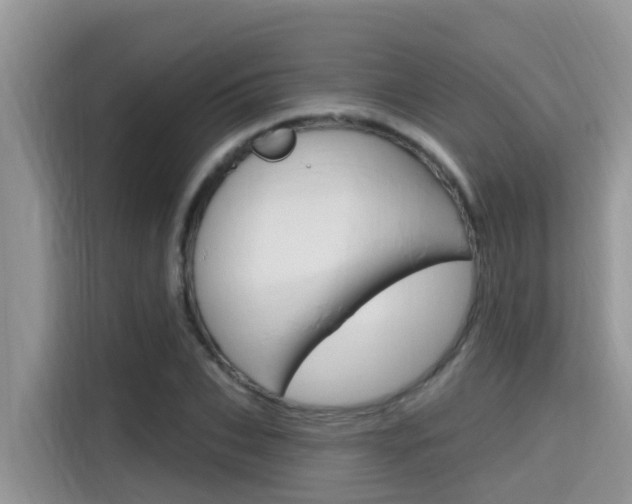 X0000115610927200911100929