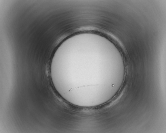 X0000115610929200911100929