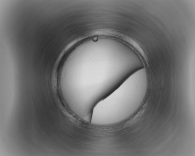 X0000115610931200911100929