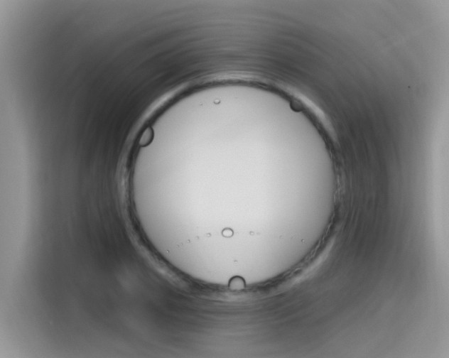 X0000115610933200911100929