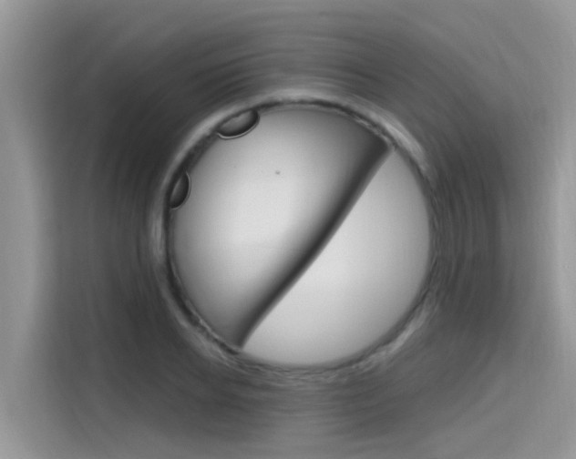 X0000115610934200911100929