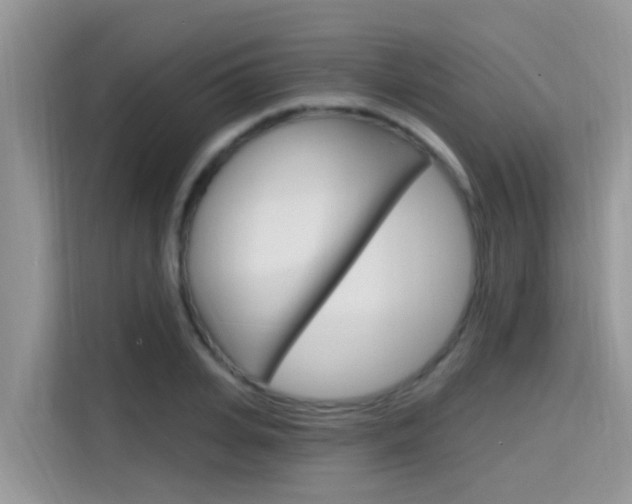 X0000115610935200911100929