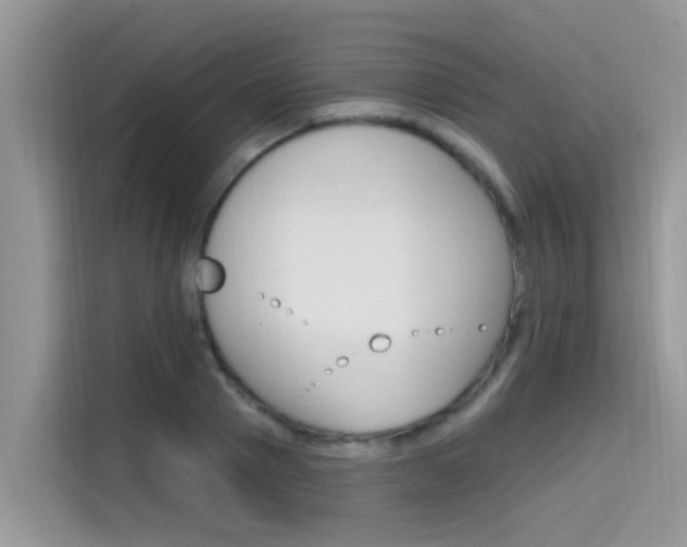X0000115610937200911100929